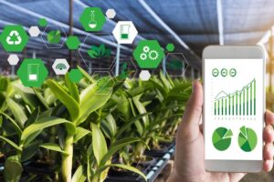 The Future of Sustainable Farming: Innovations and Practices